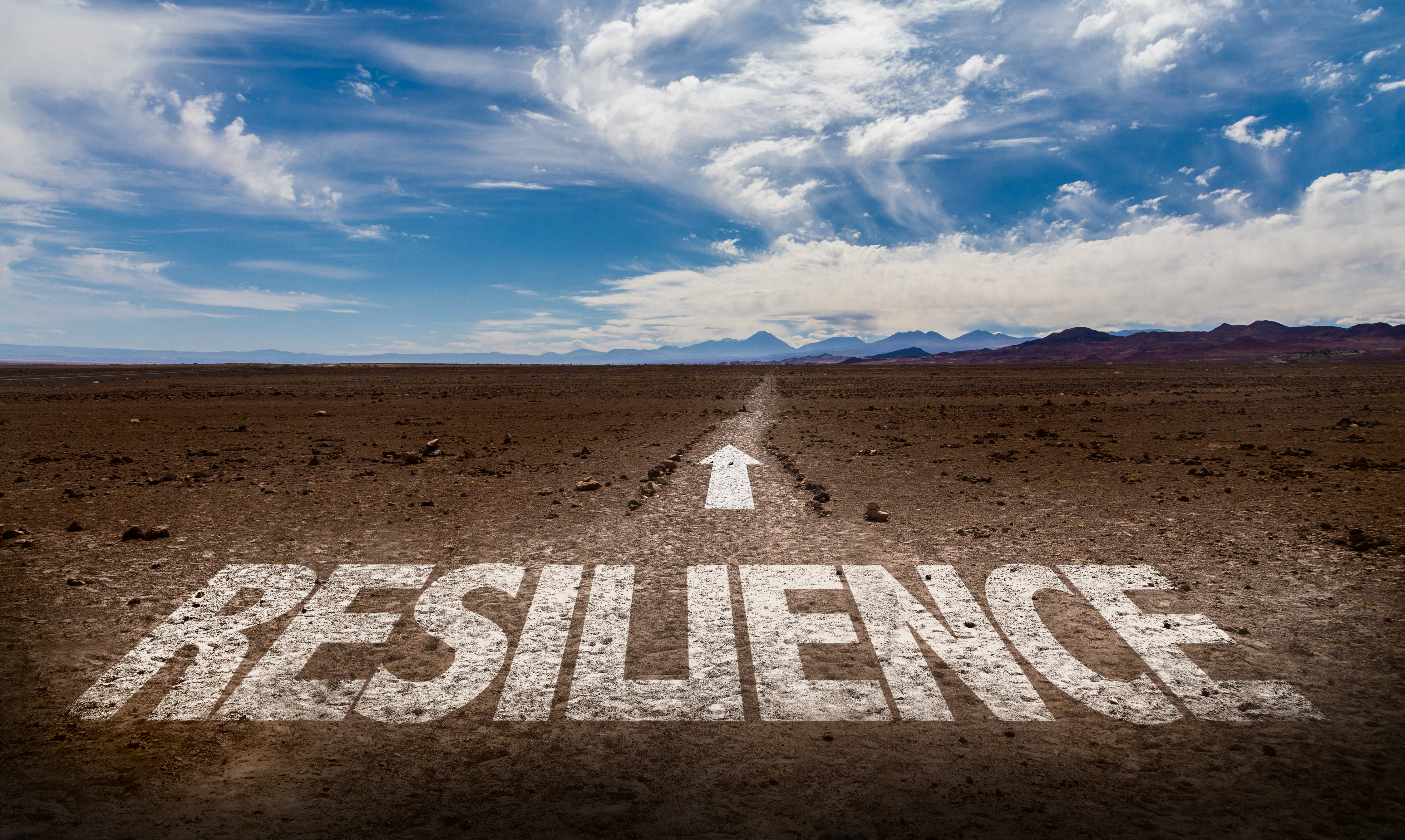 stock image about resilience