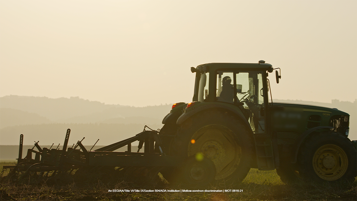 Digital Agronomy